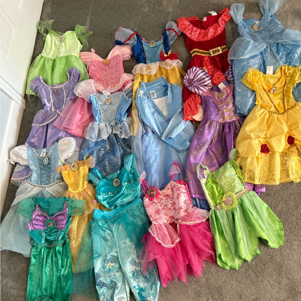 16 different Disney princess dresses